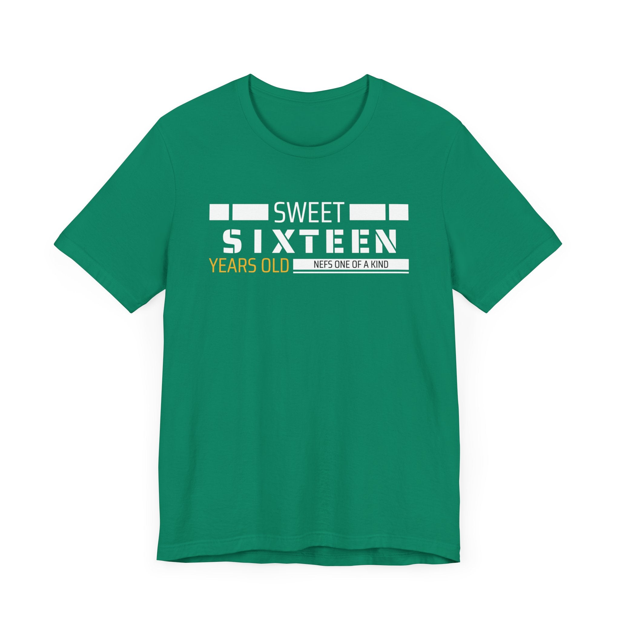 Sixteen year old Unisex Adult Tee